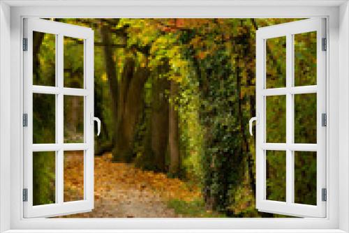 Fototapeta Naklejka Na Ścianę Okno 3D - Herbst Weg