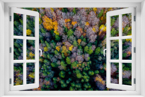 Fototapeta Naklejka Na Ścianę Okno 3D - Aerial view Autumn landscape in Bavaria near Miesbach. top view of the autumn forest. Beautiful autumn colors. Yellow and green trees