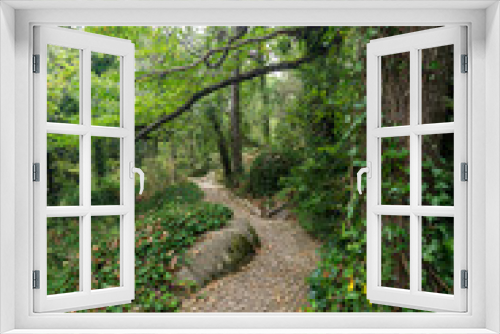 Fototapeta Naklejka Na Ścianę Okno 3D - Empty footpath in a lush and verdant forest at the Pena Park surrounding the Pena Palace (Palacio Nacional da Pena) in Sintra, Portugal.