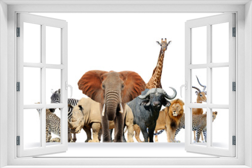 Fototapeta Naklejka Na Ścianę Okno 3D - Group of African safari animals together