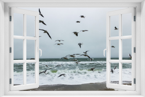Fototapeta Naklejka Na Ścianę Okno 3D - flying seagulls on the beach