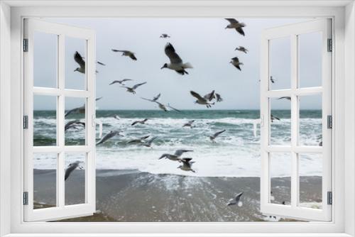 Fototapeta Naklejka Na Ścianę Okno 3D - fly seagulls on the beach
