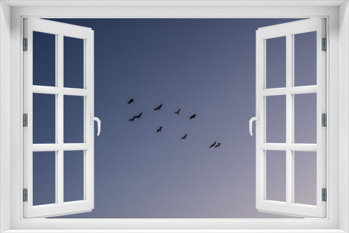 Fototapeta Naklejka Na Ścianę Okno 3D - Bird migration at spring. Cranes return home