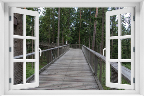 Fototapeta Naklejka Na Ścianę Okno 3D - Treetop Walkway lignting, Sightseeing trail in tree crowns.