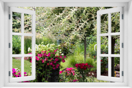 Fototapeta Naklejka Na Ścianę Okno 3D - A variegated Japanese ornamental willow tree shades  Fuchsia Million Bells, calibrachoa, lime petunias and red knock out roses as Karl Forester reed grasses sway in the background