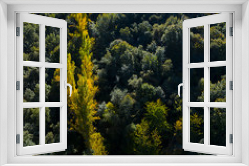 Fototapeta Naklejka Na Ścianę Okno 3D - Forest in autumn in the Tobía River Valley,  La Rioja, Spain, Europe