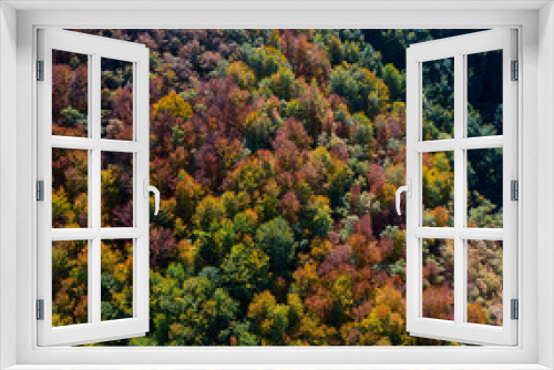 Fototapeta Naklejka Na Ścianę Okno 3D - Forest in autumn in the Tobía River Valley,  La Rioja, Spain, Europe