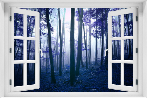 Fototapeta Naklejka Na Ścianę Okno 3D - Dark blue foggy mystic forest landscape.