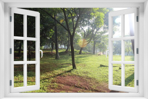 Fototapeta Naklejka Na Ścianę Okno 3D - Garden in the morning of Jakarta