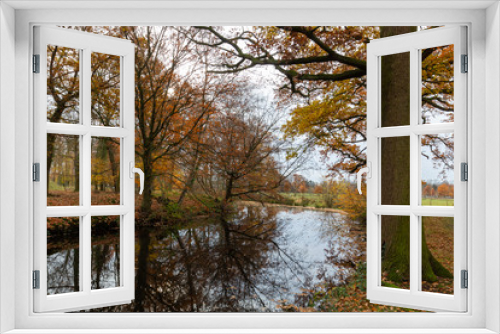 Fototapeta Naklejka Na Ścianę Okno 3D - Autumn view in the forest of Pietersheim in Lanaken part of the National park Connecterra with reflections of the trees in the water. 