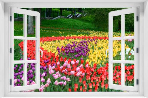 Fototapeta Naklejka Na Ścianę Okno 3D - flowerbed of tulips