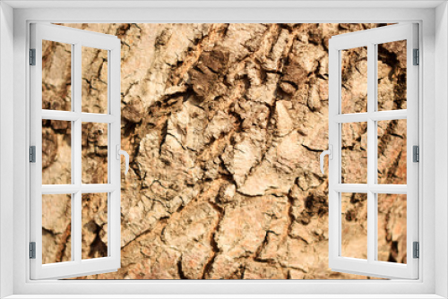 Fototapeta Naklejka Na Ścianę Okno 3D - Dry Tree Bark Texture Close up Background Image