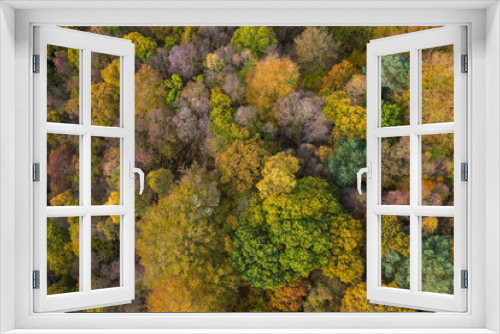 Fototapeta Naklejka Na Ścianę Okno 3D - Aerial drone shot of Autumn-able colours from trees turning yellow near Hebden bridge