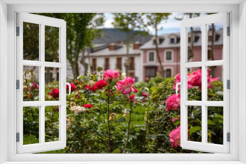 Fototapeta Naklejka Na Ścianę Okno 3D - Roses in a garden