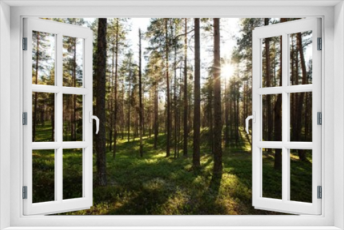 Fototapeta Naklejka Na Ścianę Okno 3D - Karelia
