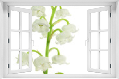 Fototapeta Naklejka Na Ścianę Okno 3D - Fleurs de muguet détouré