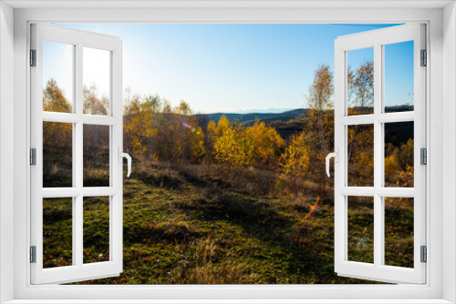 Fototapeta Naklejka Na Ścianę Okno 3D - Birch tree landscape in the morning autumn