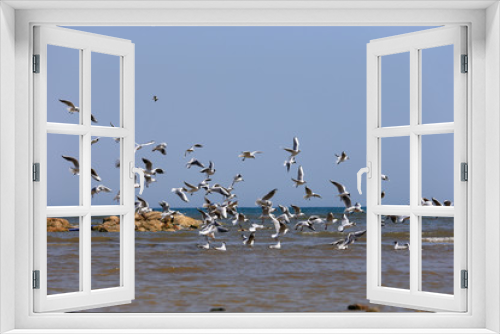 Fototapeta Naklejka Na Ścianę Okno 3D - The seagulls fly at sea