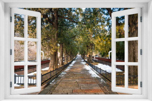 Fototapeta Naklejka Na Ścianę Okno 3D - Tree-lined road leading to the Temple of the Reclining Buddha in Beijing Botanical Garden after snowfall.