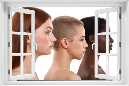 Different skin tones. Side view of three beautiful multicultural young women.Two caucasian and african half naked women posing in studio over white background. Natural beauty