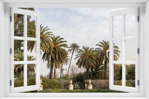 Fototapeta Naklejka Na Ścianę Okno 3D - Palms and vegetation of Jardines de Murillo in Seville