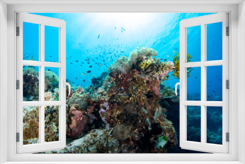 Fototapeta Naklejka Na Ścianę Okno 3D - beautiful coral reef and fish