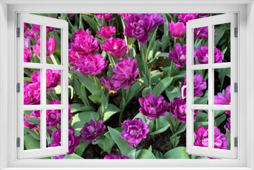 Fototapeta Naklejka Na Ścianę Okno 3D - bouquet of pink flowers