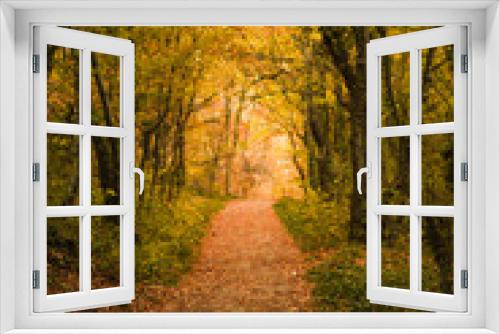 Fototapeta Naklejka Na Ścianę Okno 3D - Golden autumn road through the forest. Yellow fallen leaves on a rocky road, trees create a tunnel of branches