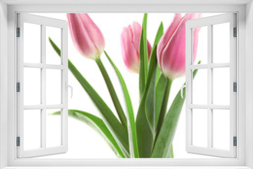 Fototapeta Naklejka Na Ścianę Okno 3D - Beautiful pink spring tulips on white background
