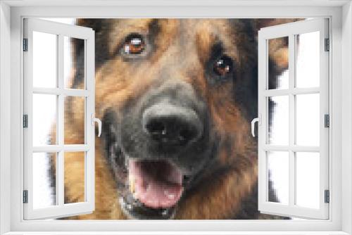 Fototapeta Naklejka Na Ścianę Okno 3D - Portrait of an adorable german shepherd dog