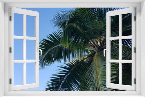 Fototapeta Naklejka Na Ścianę Okno 3D - selective focus, nature with palm trees on the island