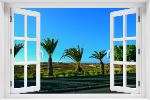 Fototapeta Naklejka Na Ścianę Okno 3D - wide asphalt road on the Spanish Canary Island Fuerteventura with palm trees