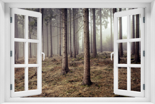 Fototapeta Naklejka Na Ścianę Okno 3D - Winter Woodland