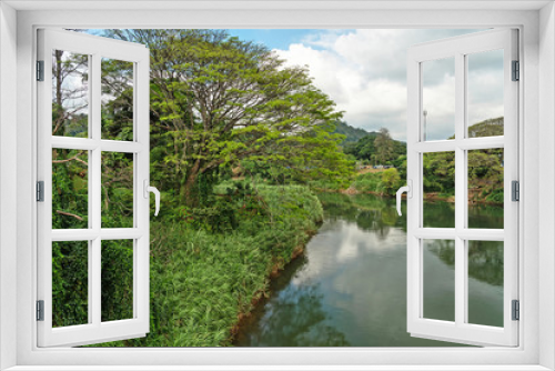 Fototapeta Naklejka Na Ścianę Okno 3D - Natural river landscape, Sri Lanka. Royal Botanical Gardens, Peradeniya, Kandy.