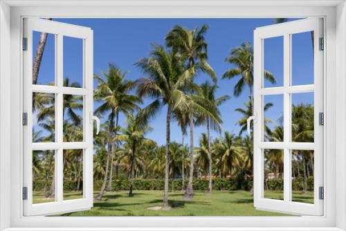 Fototapeta Naklejka Na Ścianę Okno 3D - Landscape view of coconut palms and beautiful blue sky in Bahia beach, Brazil.