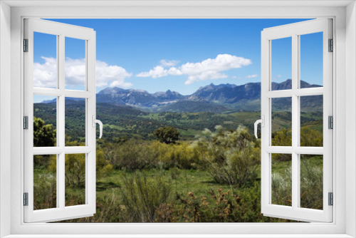 Fototapeta Naklejka Na Ścianę Okno 3D - Typical Andalusian landscape near Ronda town in May