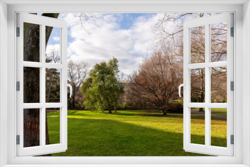 Fototapeta Naklejka Na Ścianę Okno 3D - meadow with trees in a city park in autumn