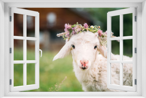 Fototapeta Naklejka Na Ścianę Okno 3D - Baby lamb with flower crown