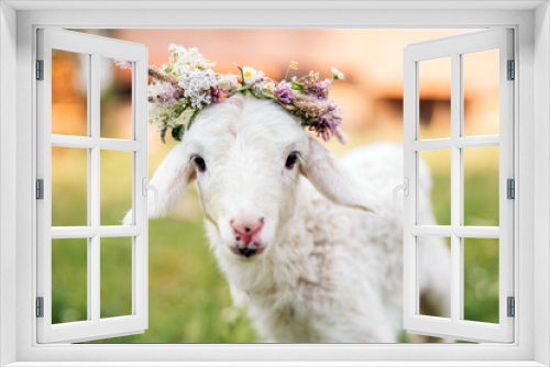 Fototapeta Naklejka Na Ścianę Okno 3D - Baby lamb with flower crown