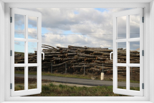 Fototapeta Naklejka Na Ścianę Okno 3D - Wood pile tree trunks industrie storage