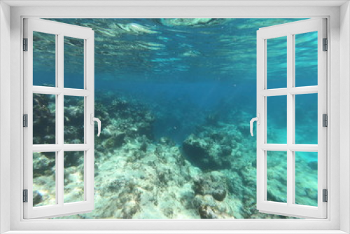 Fototapeta Naklejka Na Ścianę Okno 3D - Dead Coral.JPG