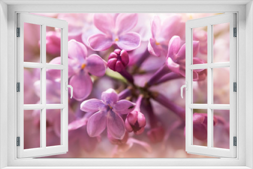 Fototapeta Naklejka Na Ścianę Okno 3D - tender soft purple lilac flowers, macro view
