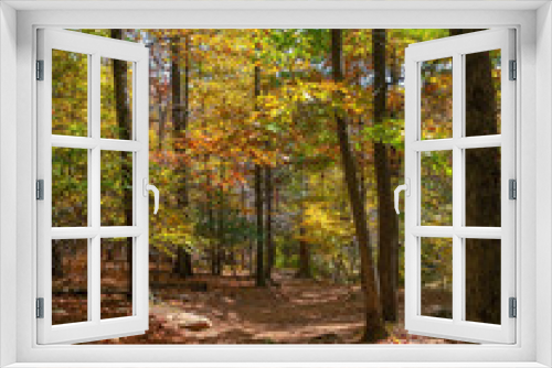 Fototapeta Naklejka Na Ścianę Okno 3D - Bright and Colorful Autumn