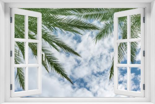 Fototapeta Naklejka Na Ścianę Okno 3D - Palm branches of a tropical beach. Background. Place for text