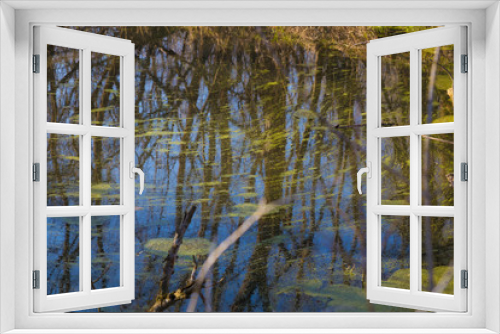 Fototapeta Naklejka Na Ścianę Okno 3D - Forest swamp in early spring.