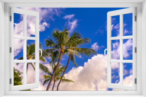 Fototapeta Naklejka Na Ścianę Okno 3D - Group of tropical palm trees with blue sky and clouds