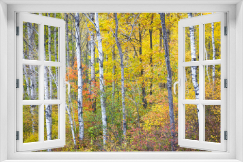 Fototapeta Naklejka Na Ścianę Okno 3D - October brings spectacular autumn colors to the north woods of Wisconsin, USA.