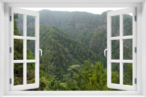 View from dark water duct tunnel through running water to lush jungle at hiking trail Los Tilos at mysterious laurel forest. Beautiful nature reserve on La Palma, Canary islands, Spain