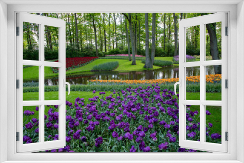 Fototapeta Naklejka Na Ścianę Okno 3D - Tulips. Keukenhof park, Lisse, the Netherlands.