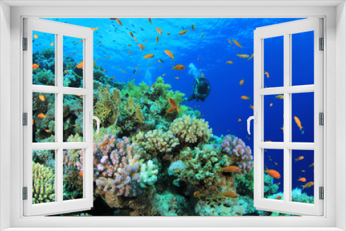 Fototapeta Naklejka Na Ścianę Okno 3D - Coral Reef with Scuba Diver in Background